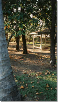 Near Casuarina Beach